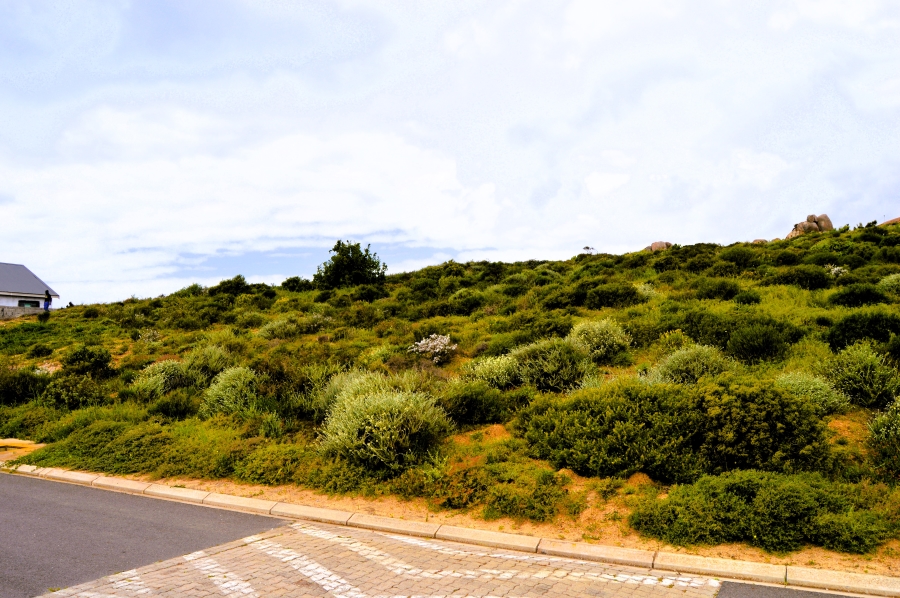 0 Bedroom Property for Sale in St Helena Views Western Cape